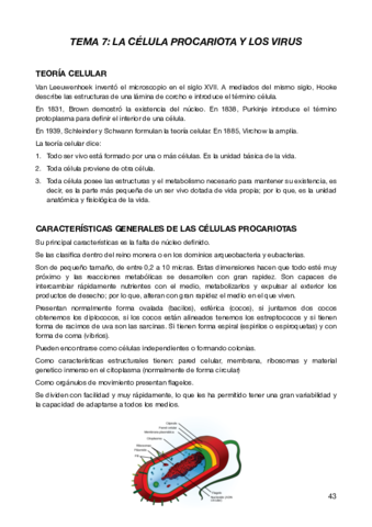 Tema7BIO.pdf