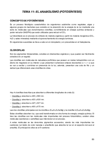 Tema11BIO.pdf