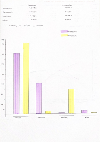 GEO-ejemplo-graficos.pdf