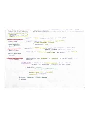 GEO-La-Demografia-Espanola.pdf