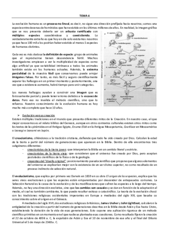 TEMA-4-4.pdf