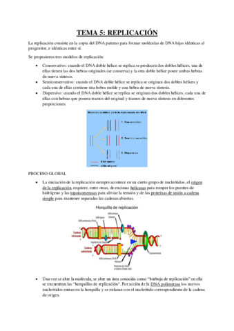 RESUMEN-TEMA-5-BIOQUIMICA.pdf