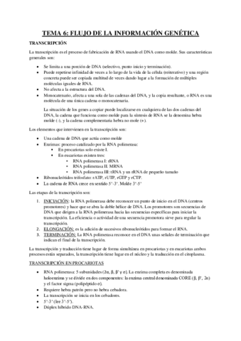 RESUMEN-TEMA-6-BIOQUIMICA.pdf