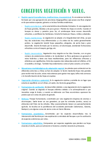 CONCEPTOS-VEGETACION-Y-SUELO.pdf