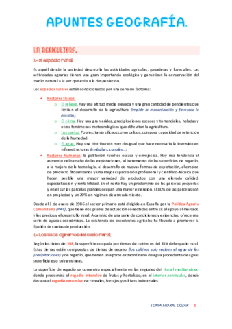 APUNTES-GEOGRAFIA.pdf