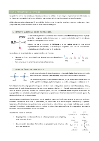 TEMARIO-bq.pdf