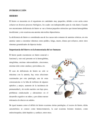 Farmacos-antianemicos.pdf