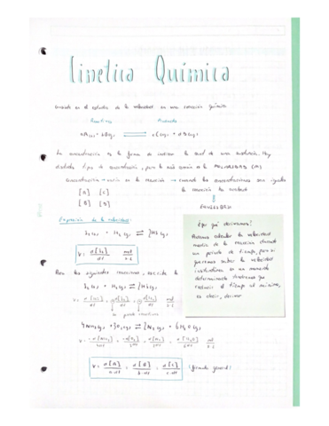 Cinetica-y-equilibrio-quimico.pdf