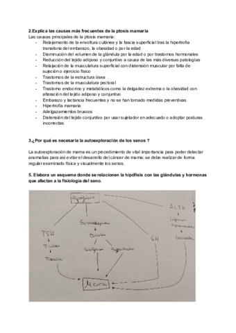 Actividades-dermo-senos-1.pdf