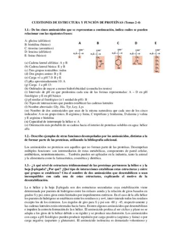 CUESTIONES-RESUELTAS-TEMA 2-4.pdf