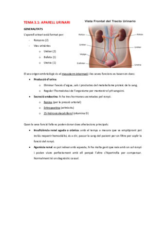 AH-Tema-3-Aparell-urogenital.pdf