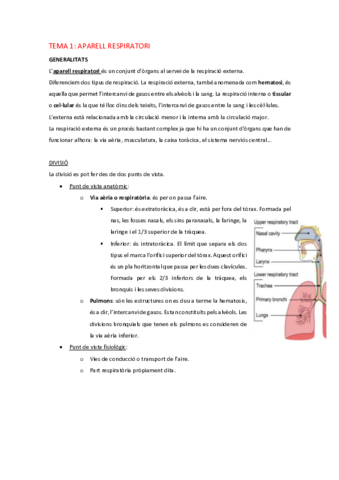 AH-Tema-1-Aparell-respiratori.pdf