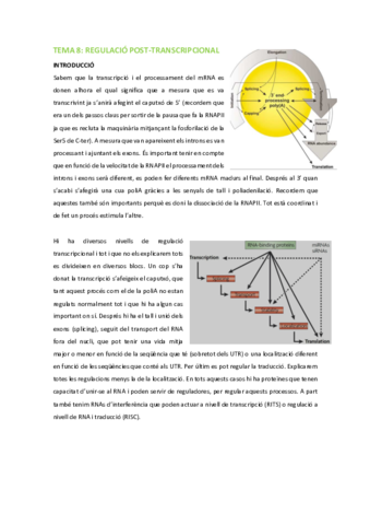 BM-Tema-8-Mecanismes-de-control-postranscripcional.pdf