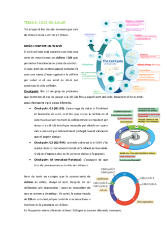 BMC-Tema-3-Cicle-cellular.pdf
