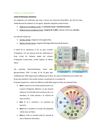 BMC-Tema-1C-Integrines.pdf