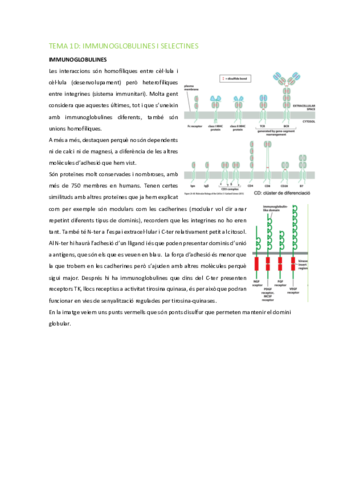 BMC-Tema-1D-Selectines.pdf