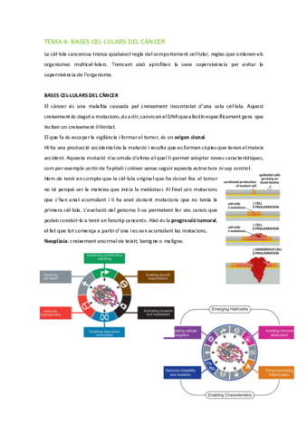 BMC-Tema-4-Bases-cellulars-del-cancer.pdf