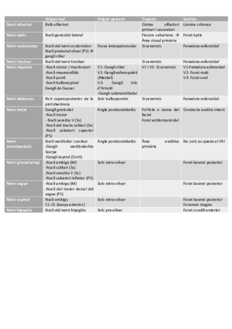 Taula-dels-parells-cranials.pdf
