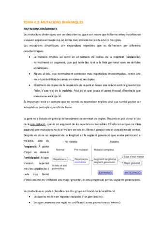 GH-Tema-4-.pdf