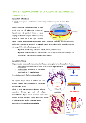BDT-Tema-1.pdf