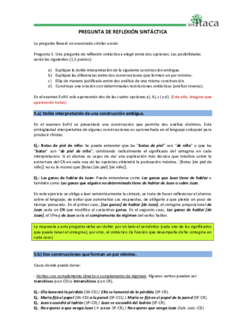 Teoria-Pregunta-de-reflexion-sintactica.pdf