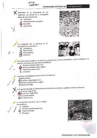 tercer-parcial-biocel.pdf