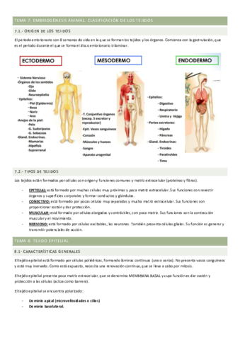 Histologia-T7-T12.pdf