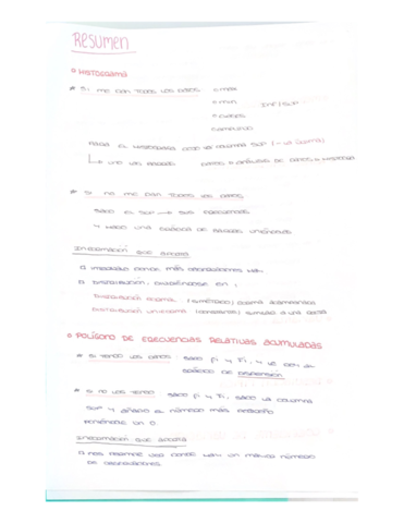 RESUMEN-EX.pdf
