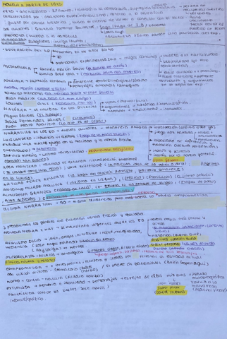 novela-a-partir-de-1975.pdf