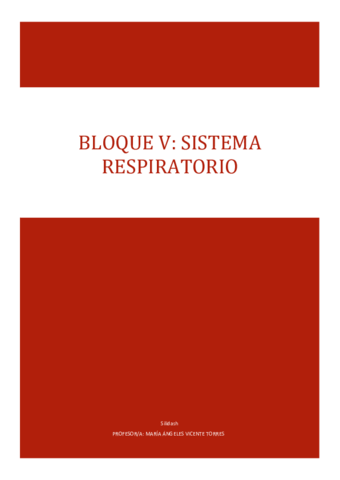 BLOQUE-V.pdf