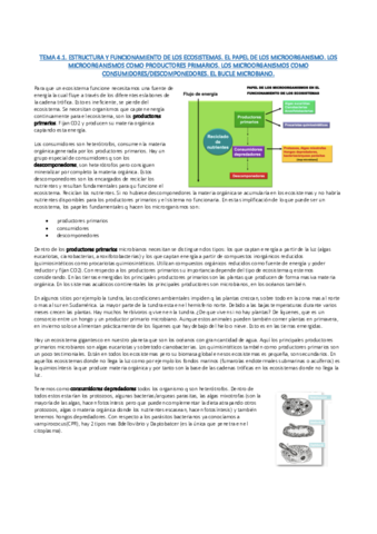 TEMA-4.pdf