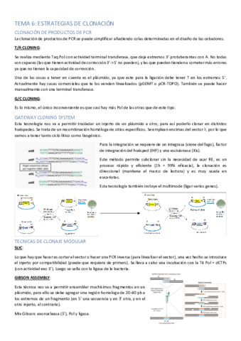 TEMA-6.pdf