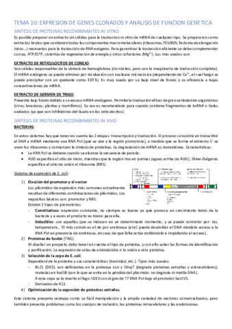 TEMA-10.pdf