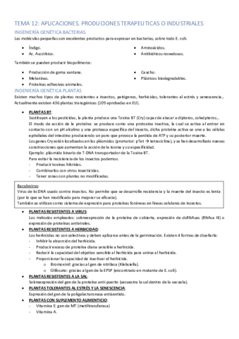 TEMA-12.pdf