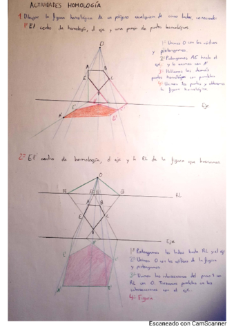 Actividades-Homologia.pdf