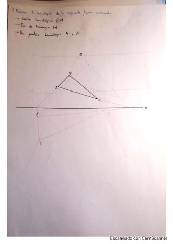 Ejercicios-homologia-y-afinidad.pdf
