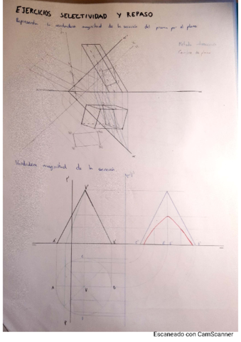 Ejercicios-selectividad-secciones.pdf
