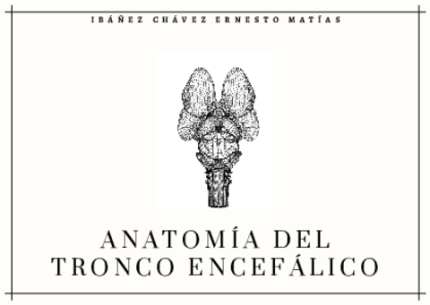 Tronco-Encefalico.pdf