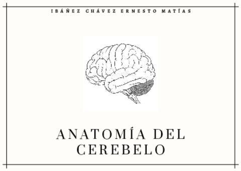 Anatomia-del-cerebelo-.pdf