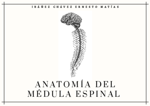 Anatomia-de-la-Medula-Espinal-con-irrigacion-1.pdf