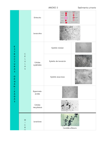 ANEXO-3-BQ7.pdf