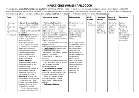 MICRO-FINAL-.pdf