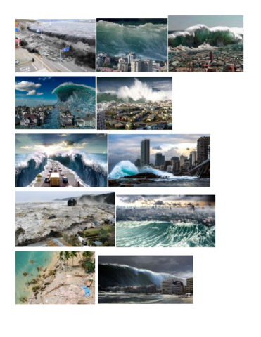 tsunami.pdf