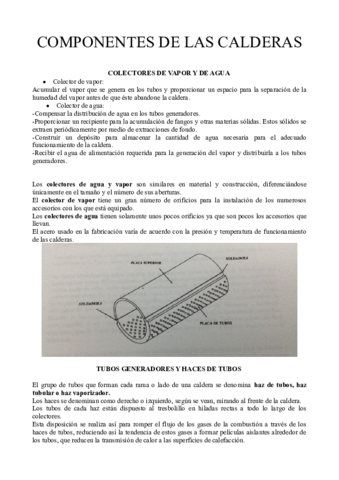 tema 1 resumen componente calderas.pdf