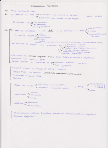 comentario-texto.pdf