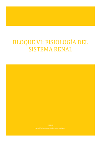BLOQUE-VI.pdf