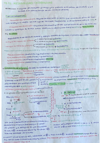 Tema-12-biologia.pdf