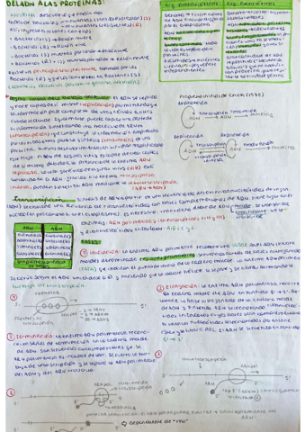 Temas-15-y-17-biologia.pdf