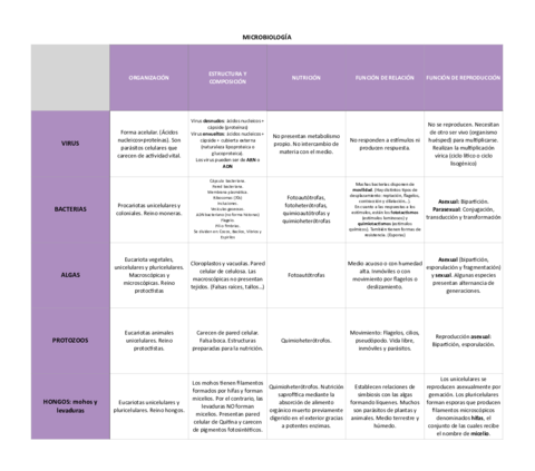 Tabla-Microbiologia.pdf