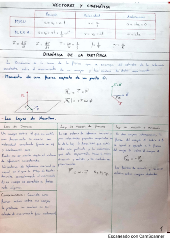Resumen-fisica-Jorge-Ramos.pdf